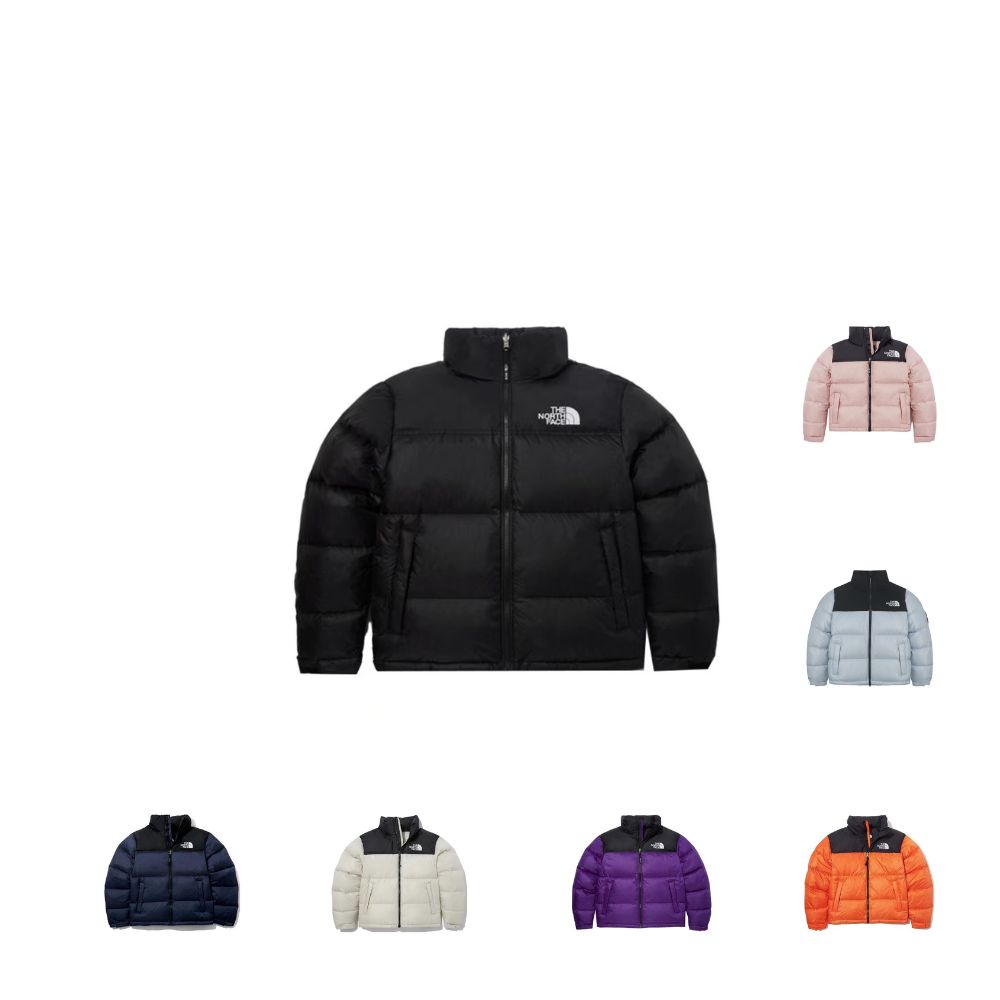 THE NORTH FACE 1996 EcoNuptse Jacket