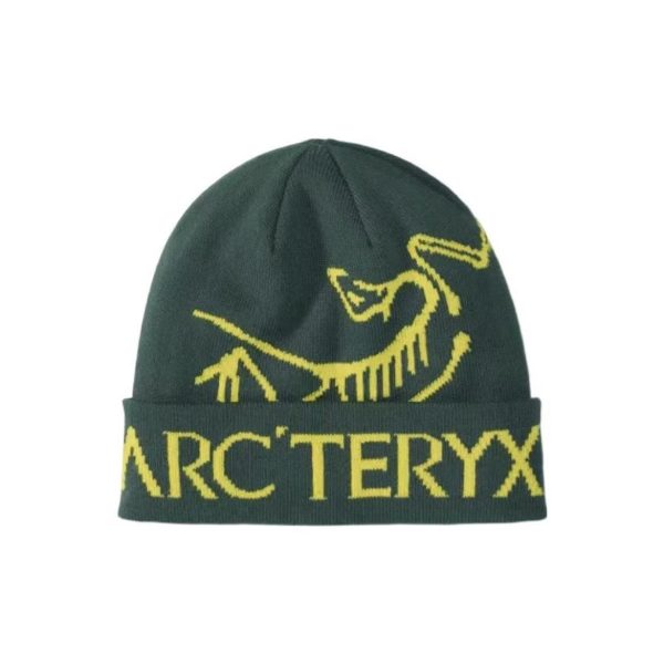 Arc'teryx Шапка-бини — изображение 3